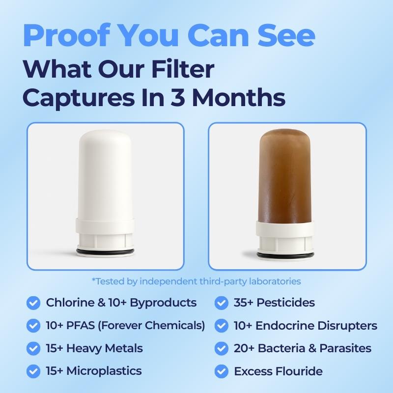 Fayvera HomeGuard Filter