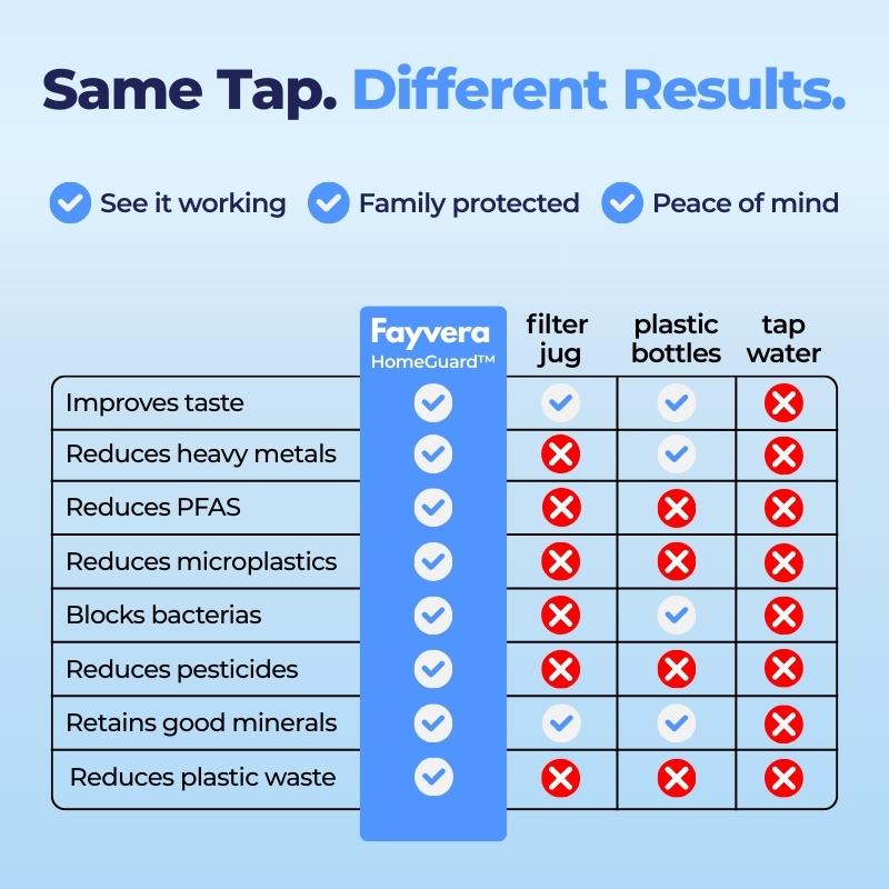 Fayvera HomeGuard Filter