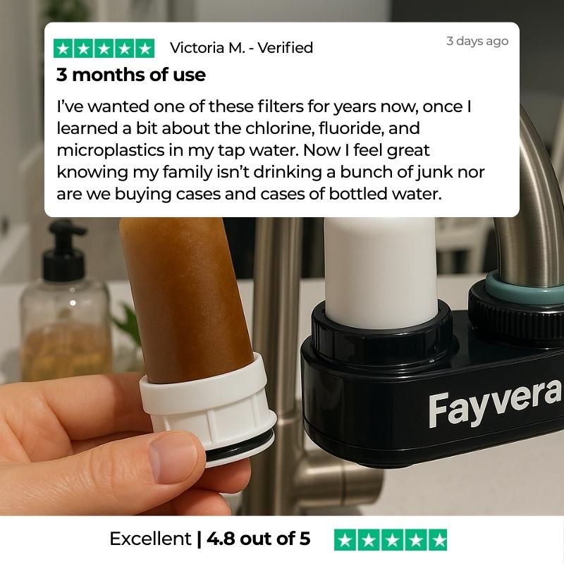 Fayvera HomeGuard Filter