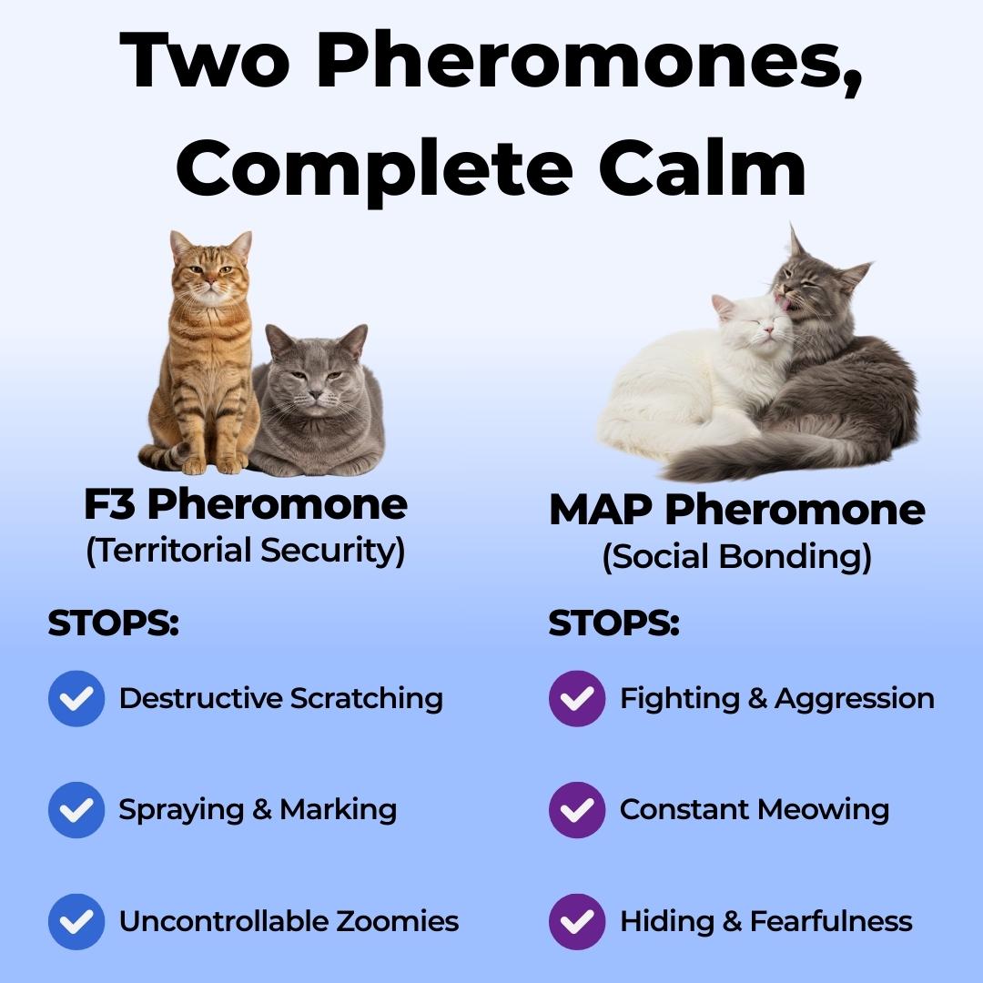 Fayvera Dual-Soothe Pheromone Diffuser