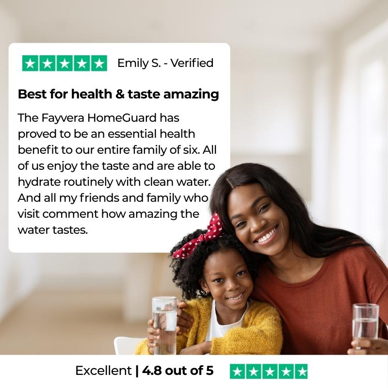 Fayvera HomeGuard Filter